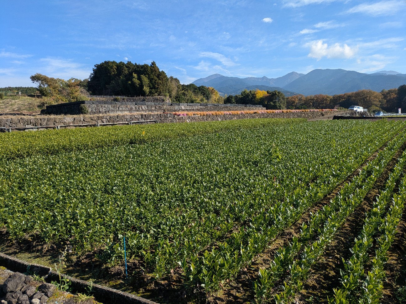 f:id:navi110:20251228183826j:image