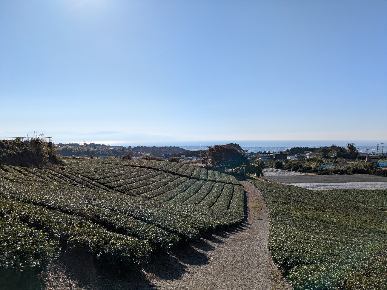 f:id:navi110:20251228183850j:image