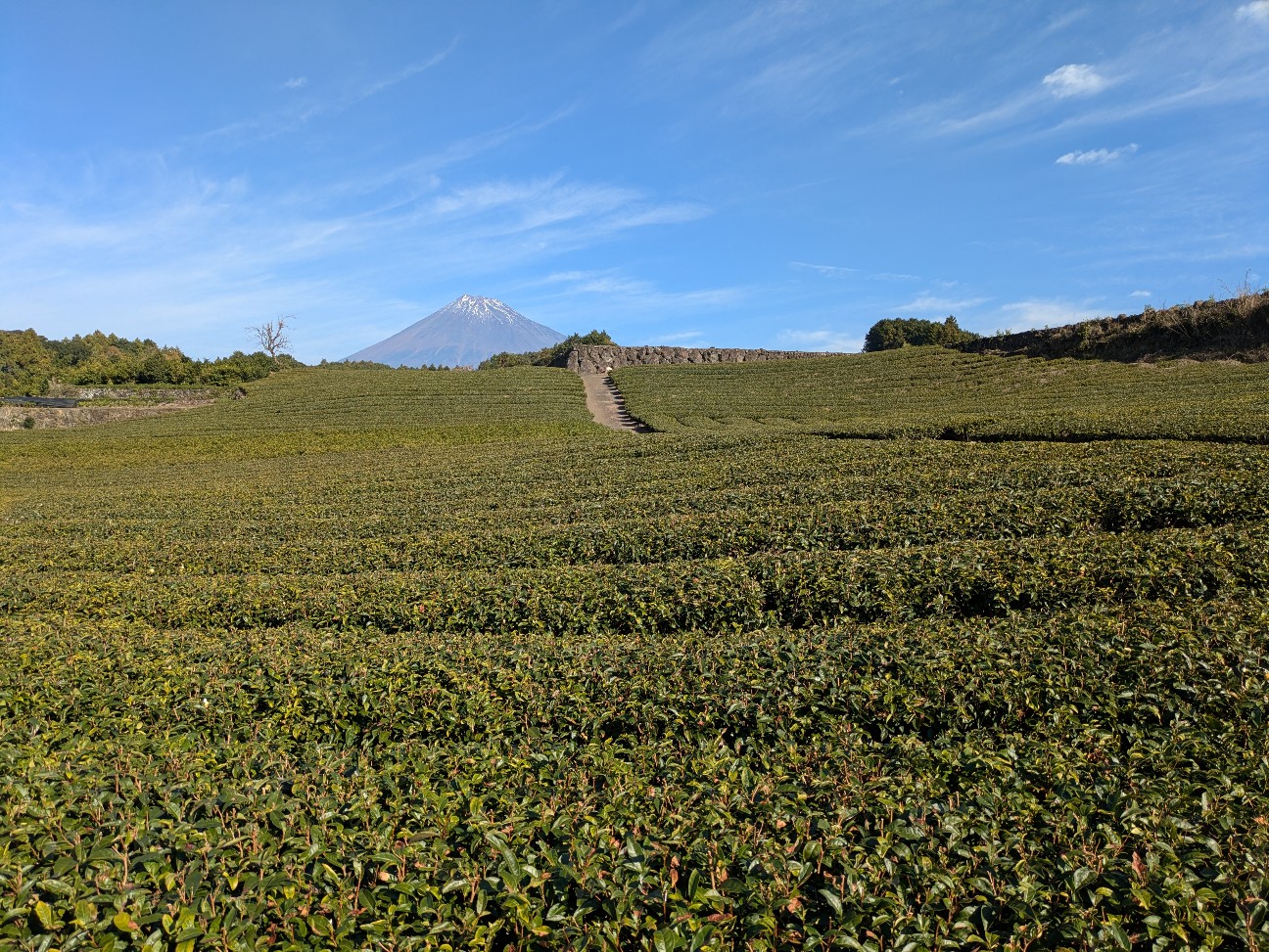 f:id:navi110:20251228183954j:image