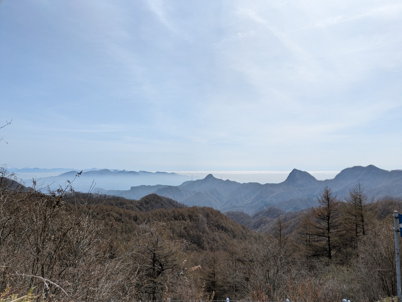 f:id:navi110:20260425131102j:image