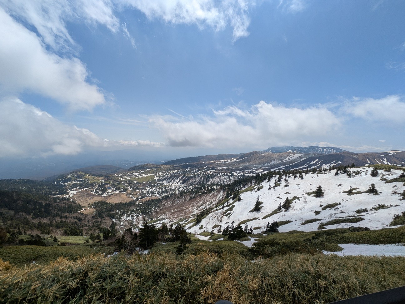 f:id:navi110:20260502115451j:image