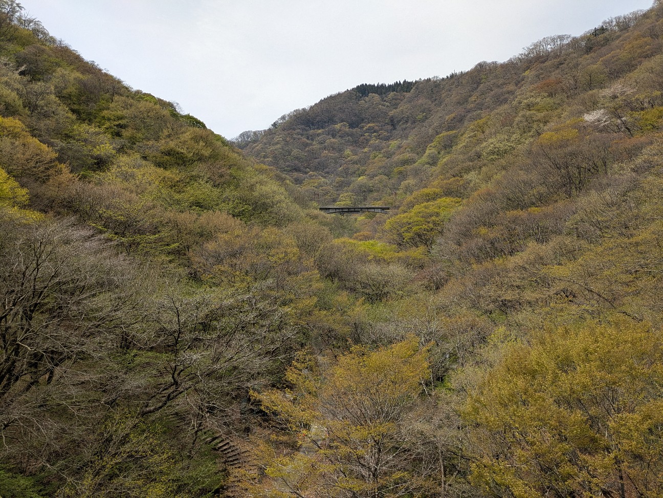 f:id:navi110:20260508100156j:image