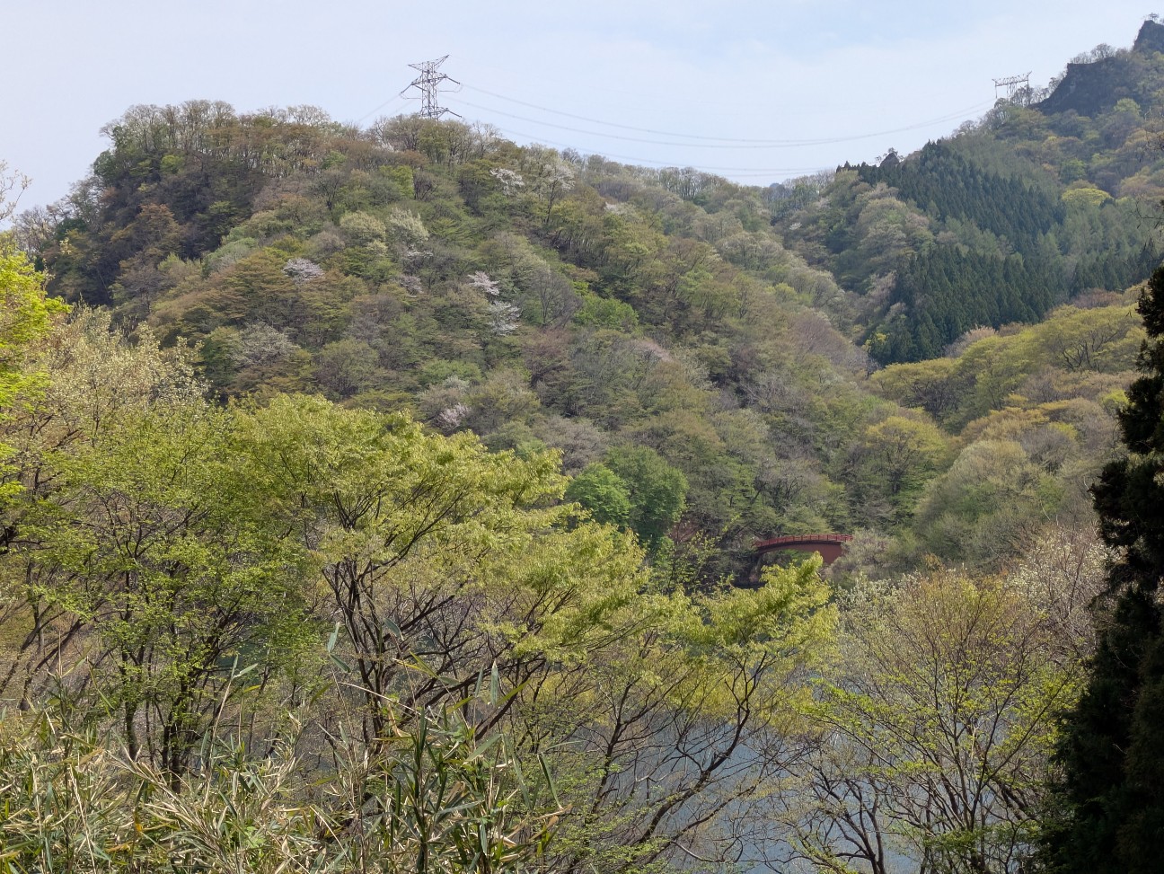 f:id:navi110:20260508100204j:image