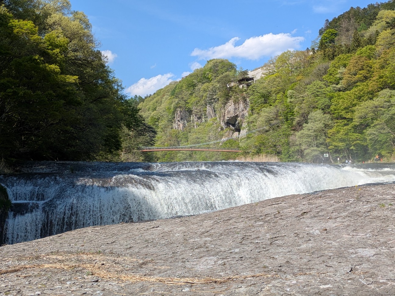 f:id:navi110:20260520152300j:image