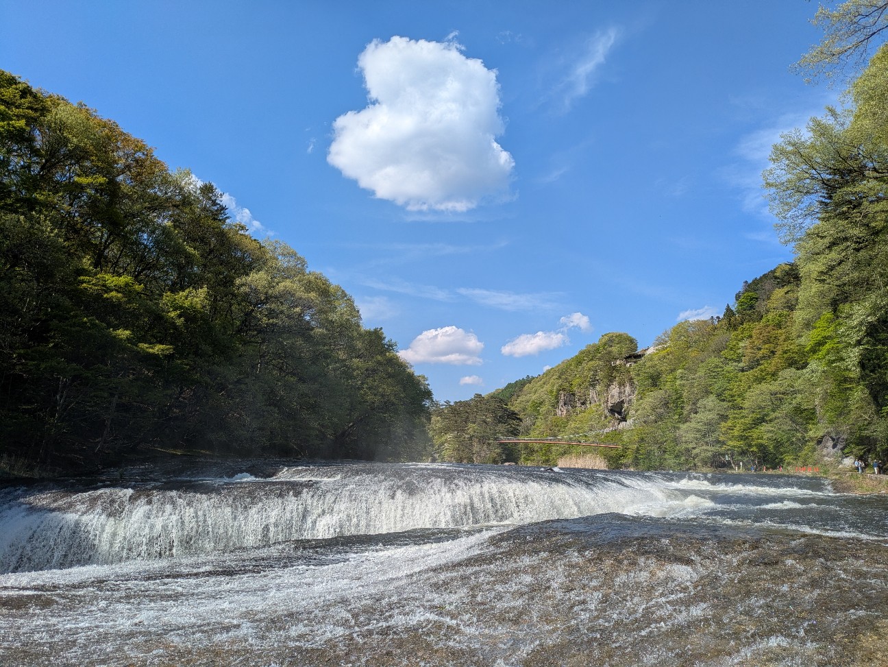 f:id:navi110:20260520152303j:image
