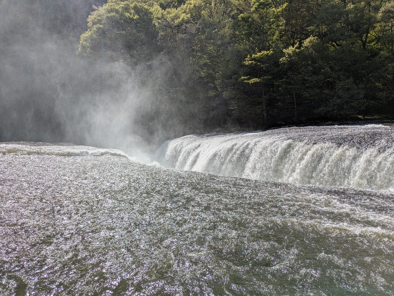 f:id:navi110:20260520152314j:image