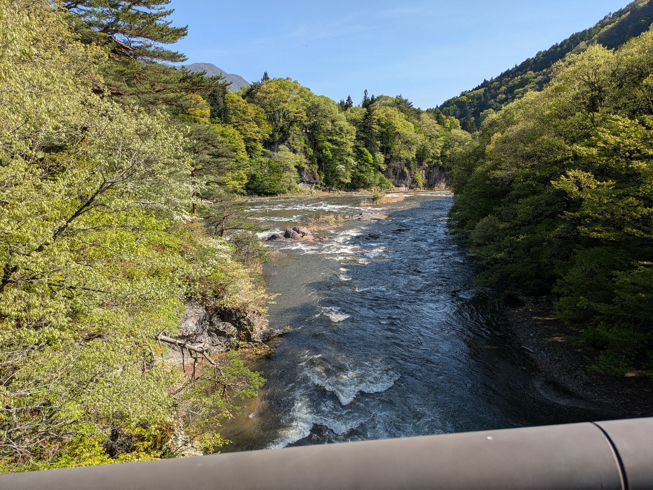 f:id:navi110:20260520152332j:image