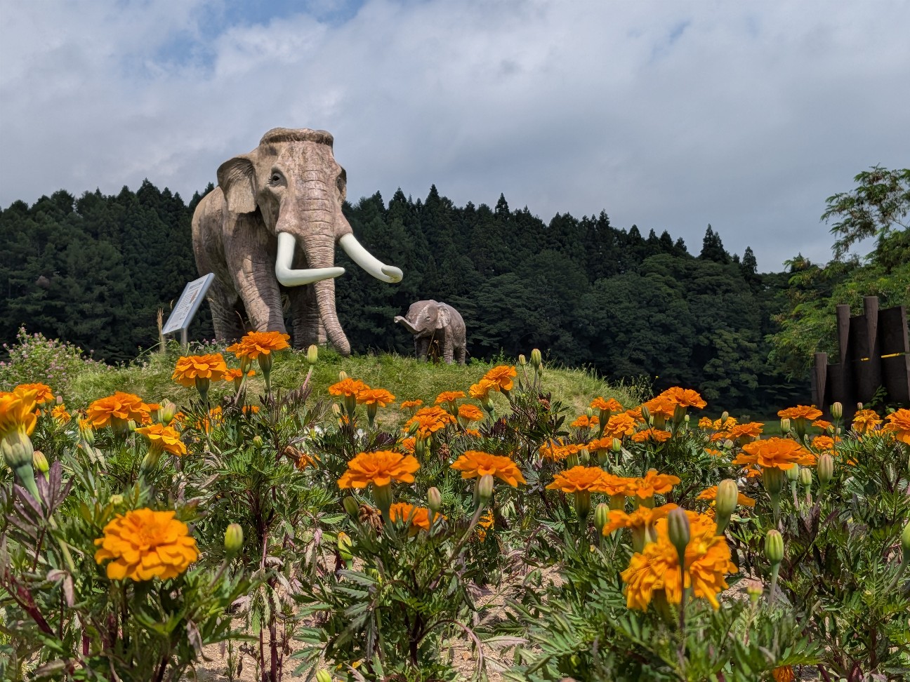 f:id:navi110:20260723205823j:image f:id:navi110:20260723205823j:image