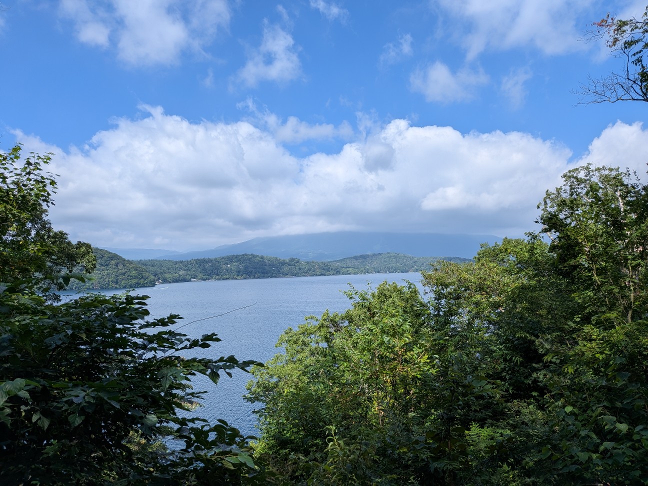 f:id:navi110:20260724173826j:image f:id:navi110:20260724173826j:image