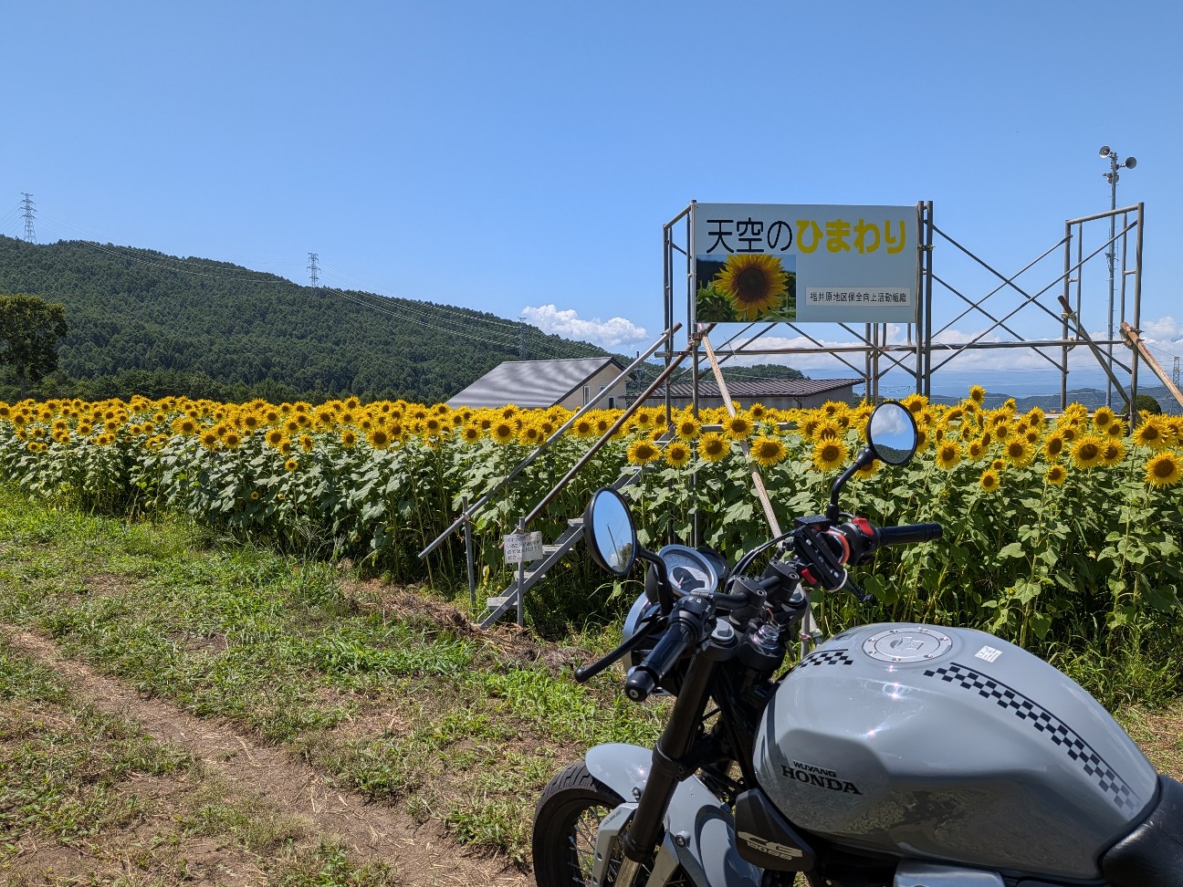 f:id:navi110:20260810190228j:image f:id:navi110:20260810190228j:image