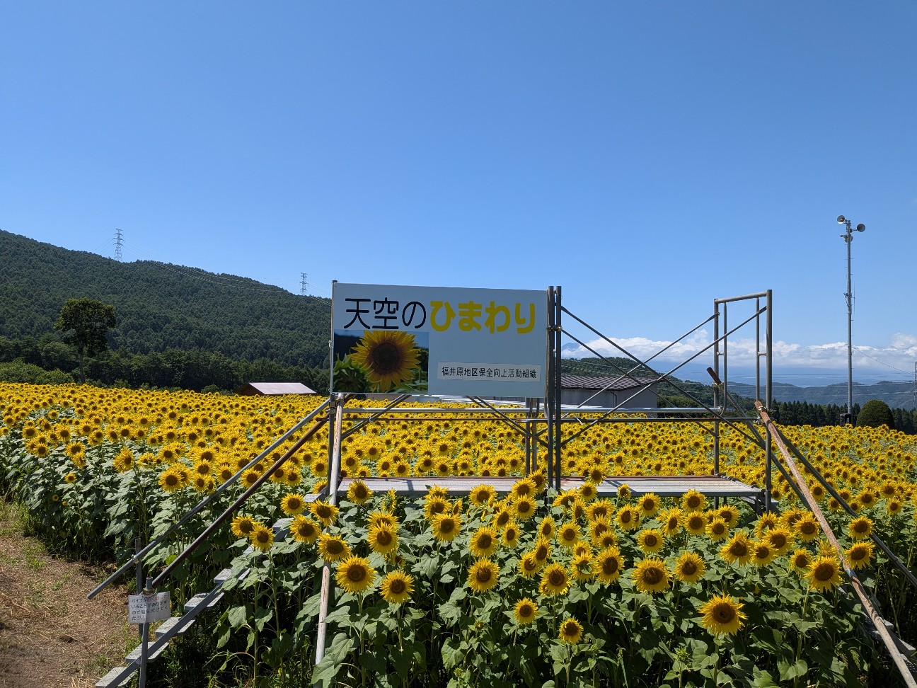 f:id:navi110:20260810190901j:image f:id:navi110:20260810190901j:image