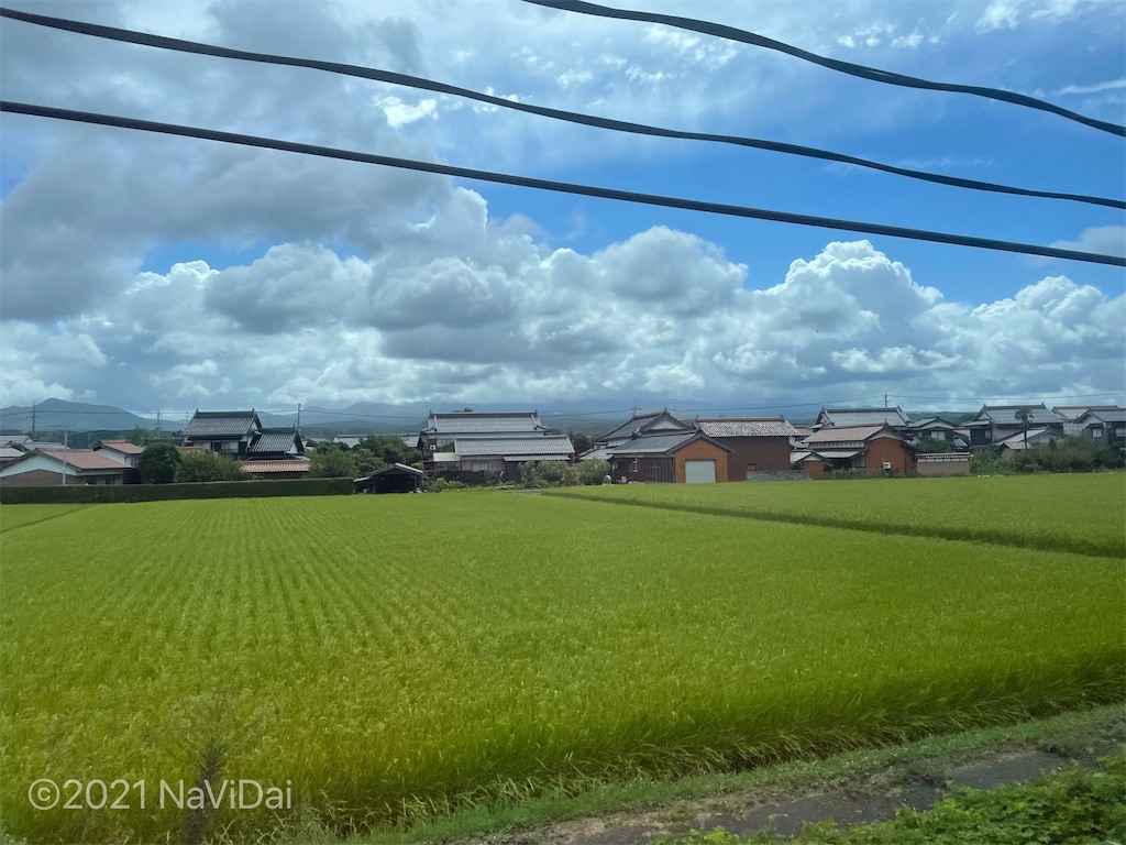 f:id:navidai_1015:20210824230048j:image f:id:navidai_1015:20210824230048j:image