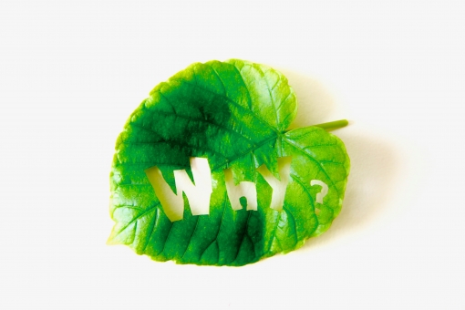 f:id:navira:20190905094343j:plain f:id:navira:20190905094343j:plain