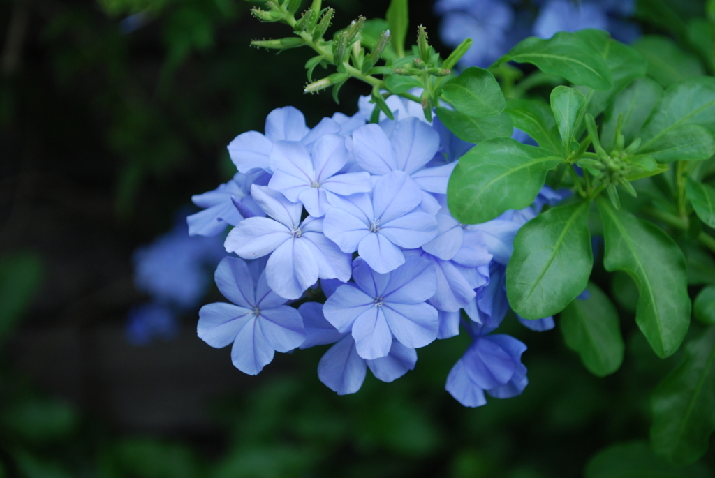 f:id:navistyle:20170810204314j:plain f:id:navistyle:20170810204314j:plain