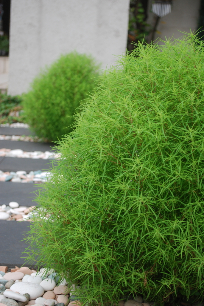 f:id:navistyle:20170815161359j:plain f:id:navistyle:20170815161359j:plain