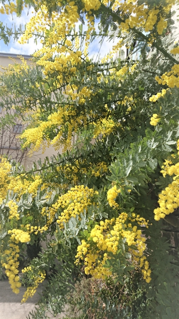 f:id:navistyle:20180310205910j:plain