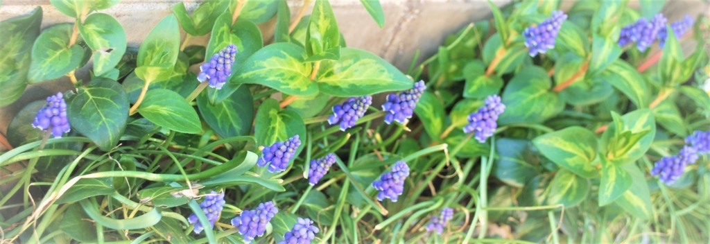 f:id:navistyle:20180325192436j:plain f:id:navistyle:20180325192436j:plain