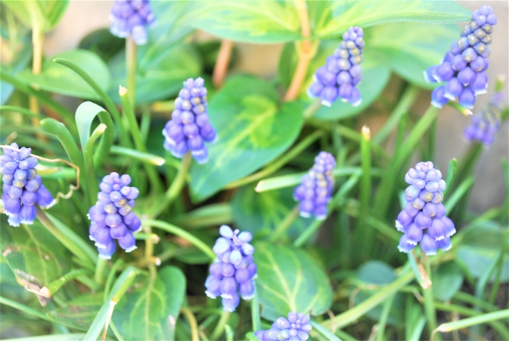 f:id:navistyle:20180325192459j:plain f:id:navistyle:20180325192459j:plain