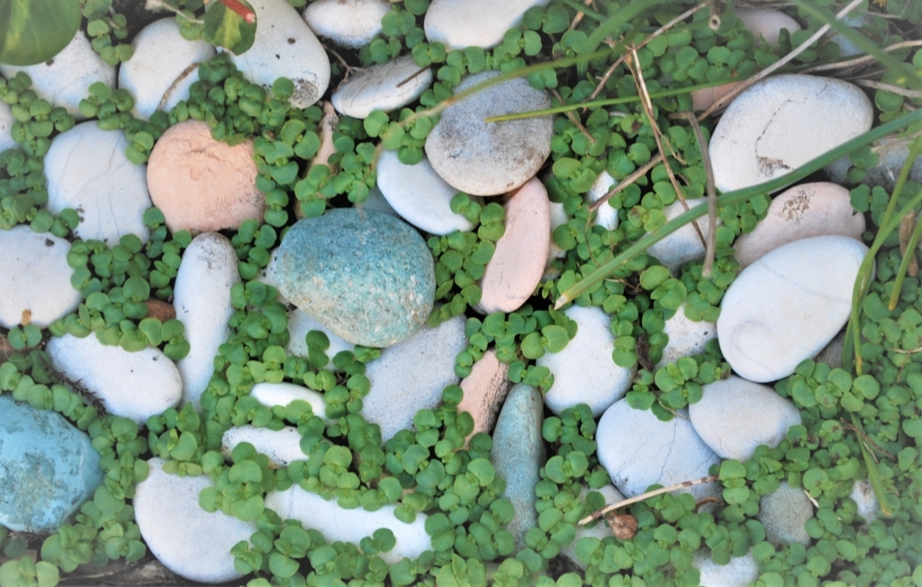 f:id:navistyle:20180325192740j:plain f:id:navistyle:20180325192740j:plain