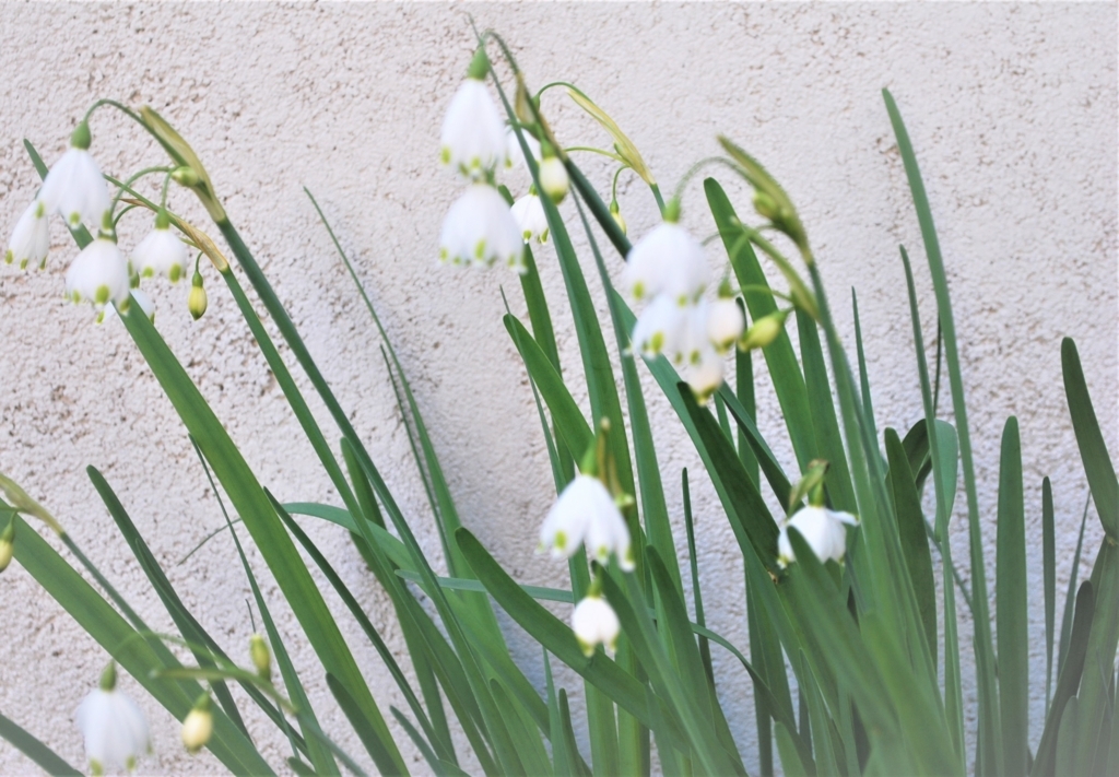 f:id:navistyle:20180325192806j:plain f:id:navistyle:20180325192806j:plain