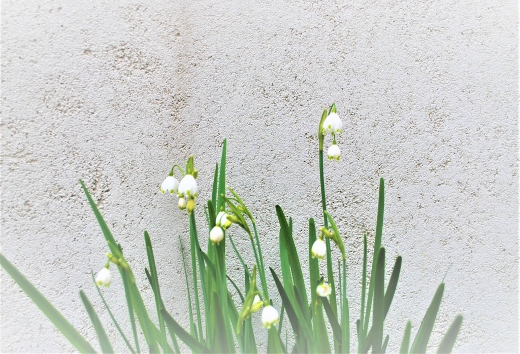 f:id:navistyle:20180325193017j:plain f:id:navistyle:20180325193017j:plain