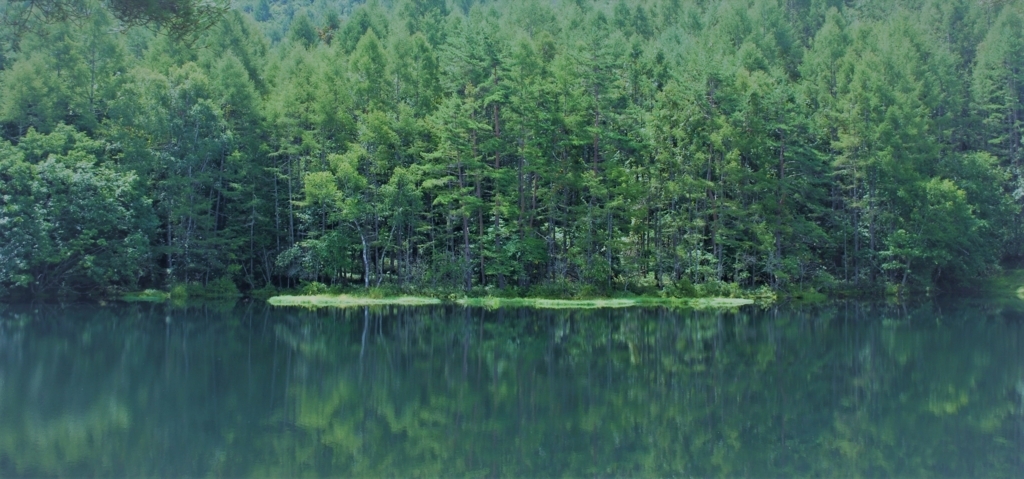 f:id:navistyle:20180815203643j:plain f:id:navistyle:20180815203643j:plain