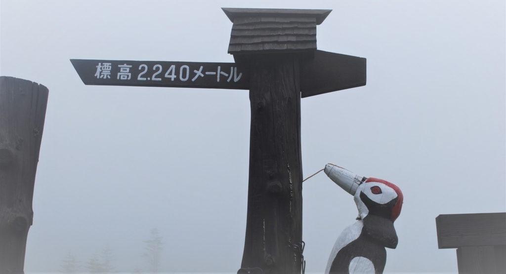 f:id:navistyle:20180815210015j:plain f:id:navistyle:20180815210015j:plain