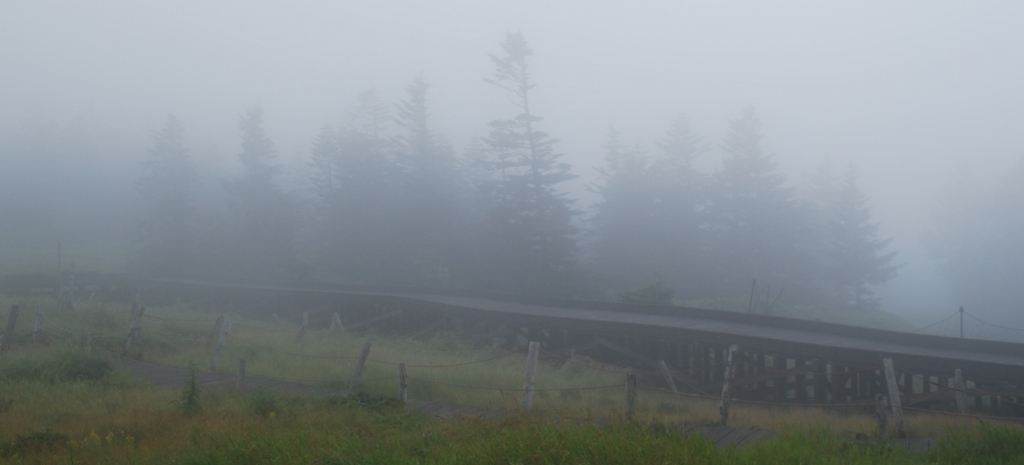 f:id:navistyle:20180815212802j:plain f:id:navistyle:20180815212802j:plain