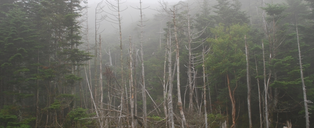 f:id:navistyle:20180815212947j:plain f:id:navistyle:20180815212947j:plain