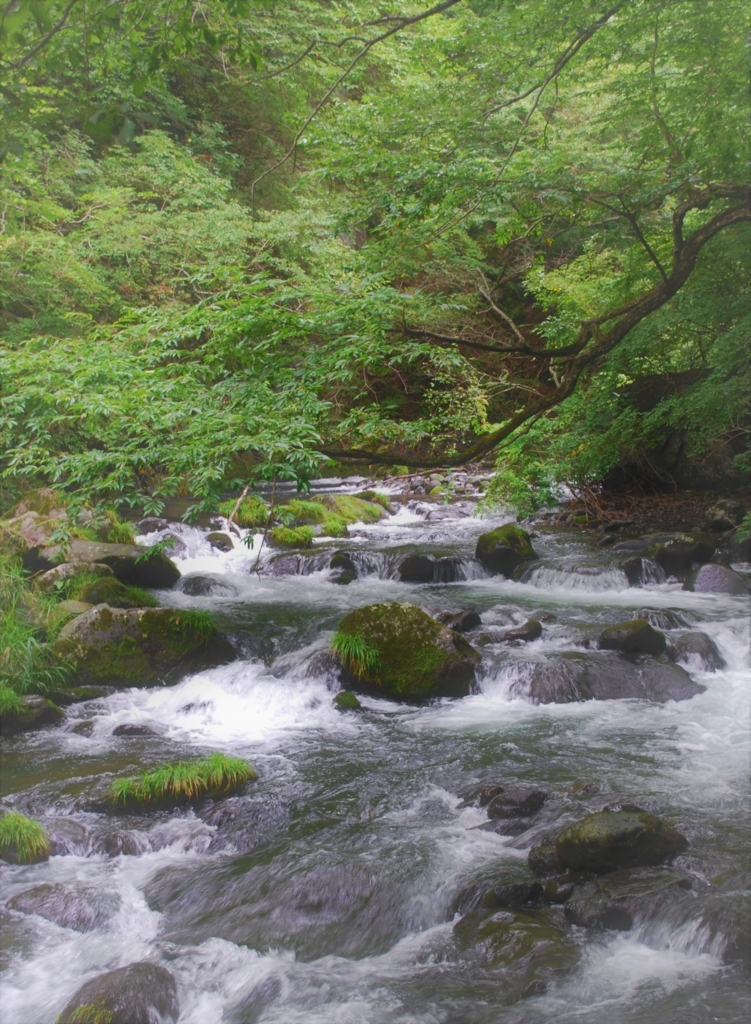 f:id:navistyle:20180815221547j:plain f:id:navistyle:20180815221547j:plain