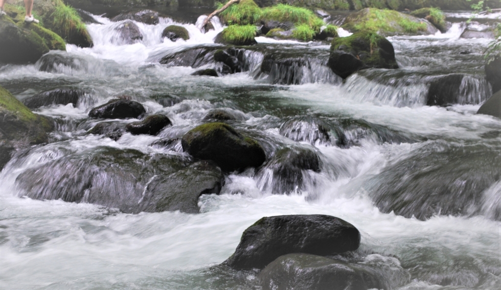 f:id:navistyle:20180815221632j:plain f:id:navistyle:20180815221632j:plain