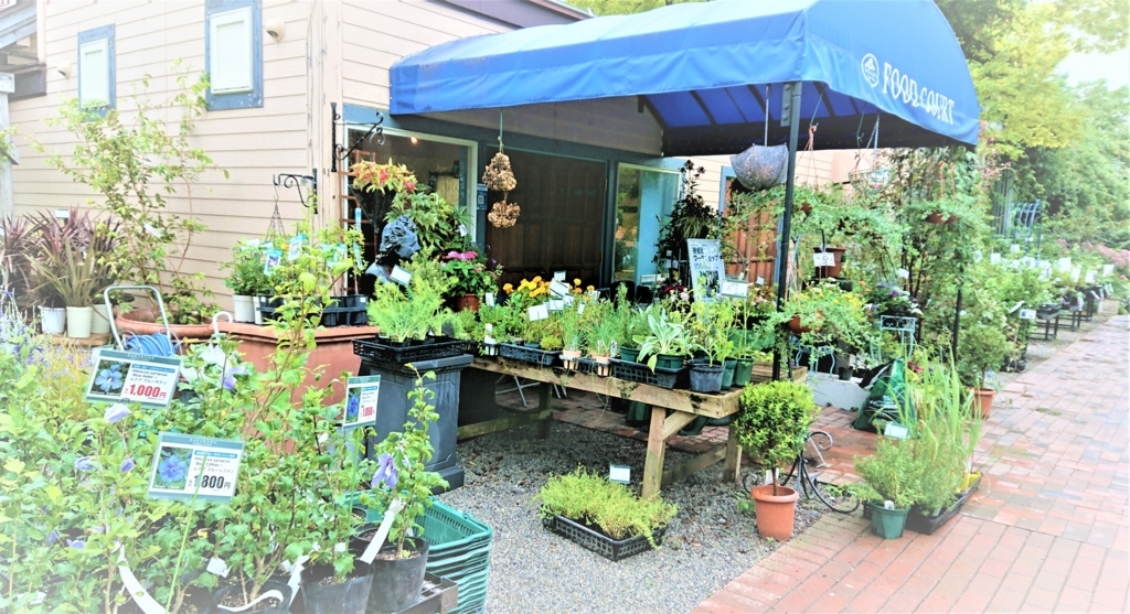 f:id:navistyle:20180815222630j:plain f:id:navistyle:20180815222630j:plain