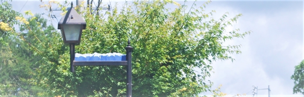 f:id:navistyle:20180815230232j:plain f:id:navistyle:20180815230232j:plain