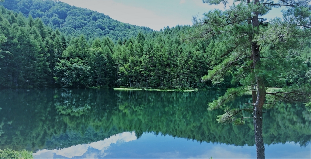 f:id:navistyle:20180816124442j:plain f:id:navistyle:20180816124442j:plain