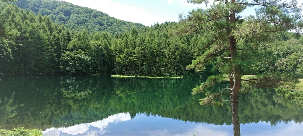 f:id:navistyle:20181107220304j:plain