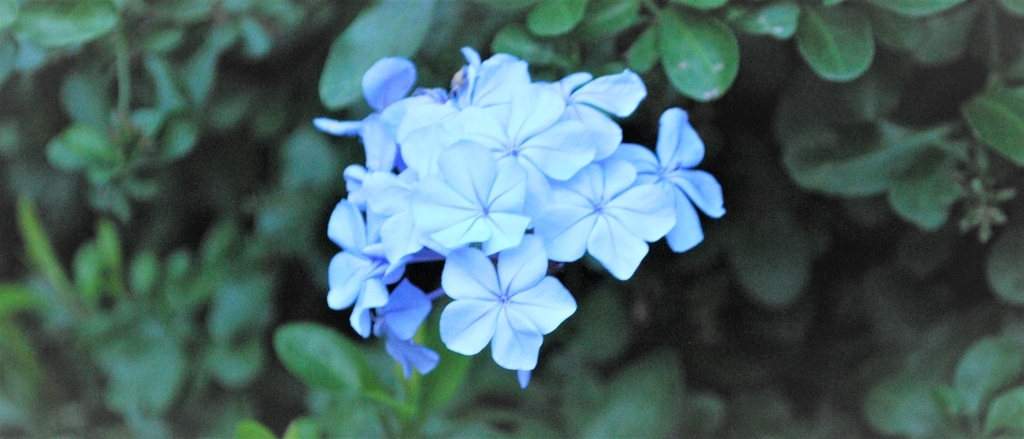 f:id:navistyle:20181119203635j:plain