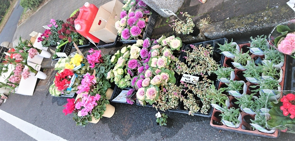 f:id:navistyle:20181122220435j:plain f:id:navistyle:20181122220435j:plain