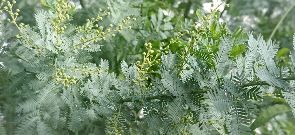 f:id:navistyle:20181130215412j:plain f:id:navistyle:20181130215412j:plain