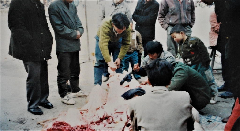 f:id:navistyle:20181201220350j:plain