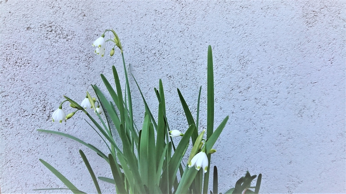 f:id:navistyle:20190418210431j:plain f:id:navistyle:20190418210431j:plain