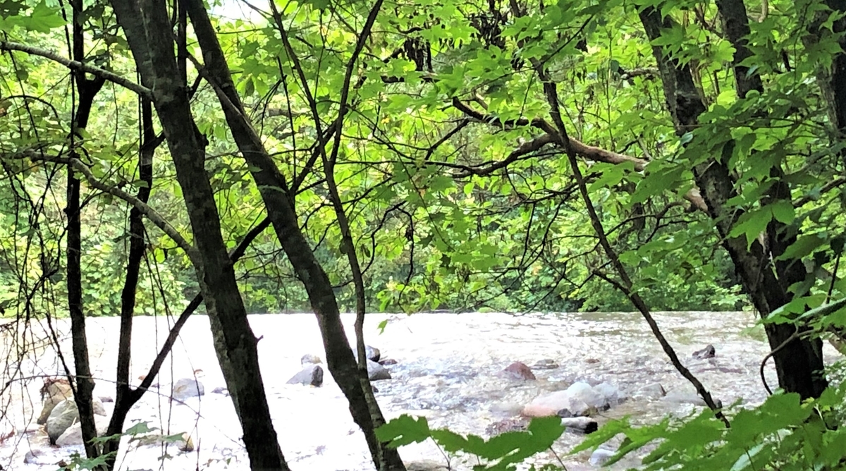 f:id:navistyle:20190815224724j:plain