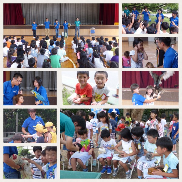 f:id:nawa_tokai_japan:20170711161207j:image:w640 f:id:nawa_tokai_japan:20170711161207j:image:w640