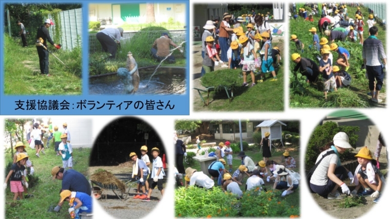 f:id:nawa_tokai_japan:20170824190637j:image:w640