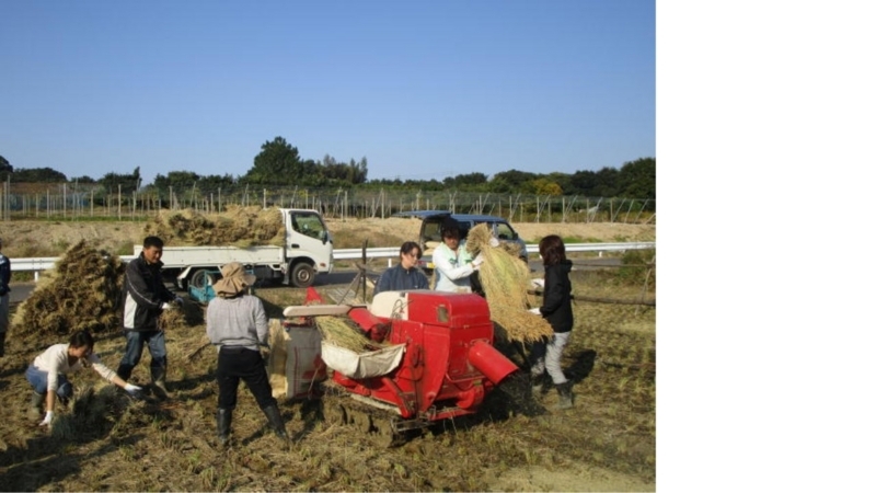 f:id:nawa_tokai_japan:20171105154749j:image:w640