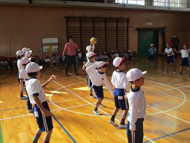 f:id:nawa_tokai_japan:20171121113114j:image:w360:left