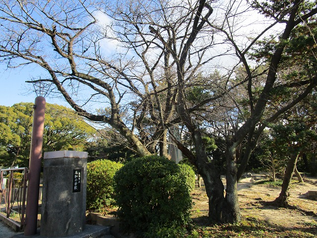 f:id:nawa_tokai_japan:20171213114310j:image:w360:left