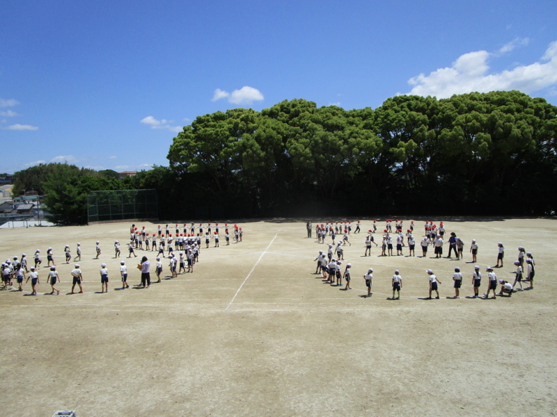 f:id:nawa_tokai_japan:20180510152434j:image:w640