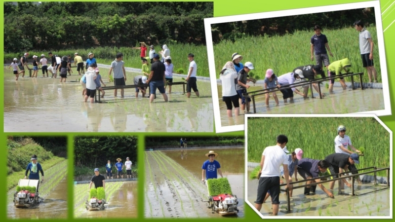 f:id:nawa_tokai_japan:20180602112337j:image:w640