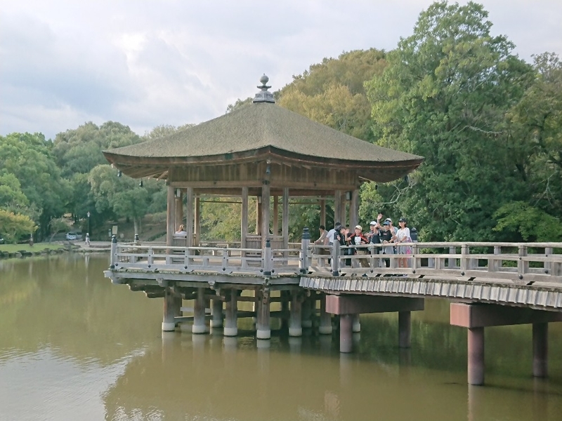 f:id:nawa_tokai_japan:20180927160503j:image:w360