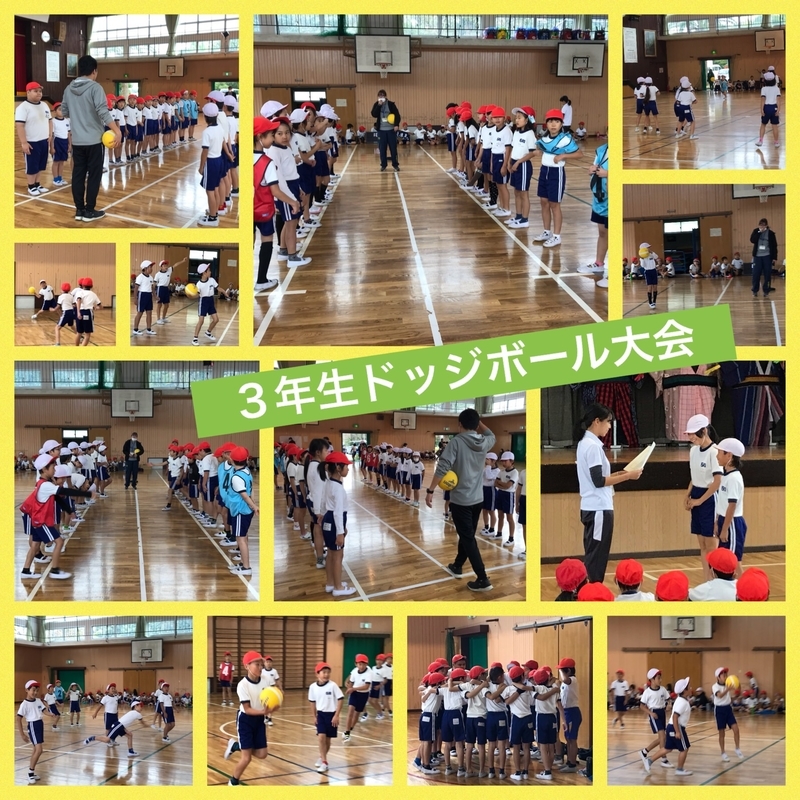 f:id:nawa_tokai_japan:20181119125903j:image